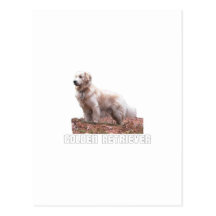 Golden retriever tarjeta postal