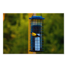 Goldfinch_2 Arte Con Fotos