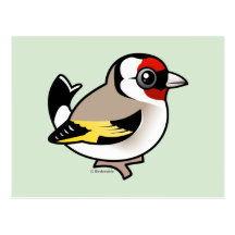 Goldfinch europeo postal