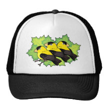 goldfinches gorro de camionero