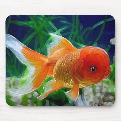 Goldfish de Oranda Alfombrilla De Raton