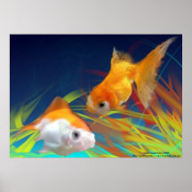 Goldfish Impresiones