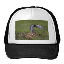Golondrina de mar negra que vuela sobre jerarquía gorros bordados