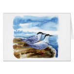 Golondrina de mar rosada tarjetas