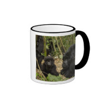 Gorila de montaña, adulto con los jóvenes 2 tazas de café
