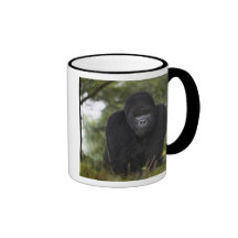Gorila de montaña y Silverback 3 Tazas