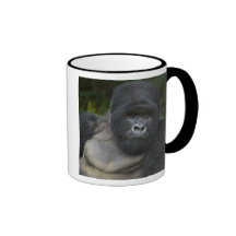Gorila de montaña y Silverback 5 Tazas De Café