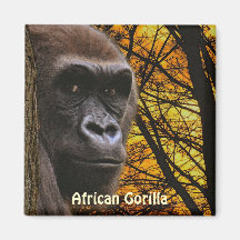 Gorila y imán africanos en peligro del arte de los