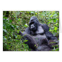 Gorilas Rwanda Felicitaciones