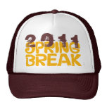 Gorra 2011 de las vacaciones de primavera 6 Brown