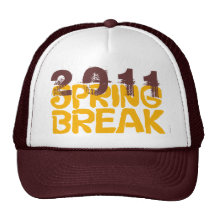 Gorra 2011 de las vacaciones de primavera 6 Brown