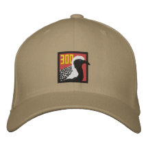 Gorra: 300o pájaro del condado de Jonatán Gorra De Béisbol