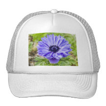 Gorra de béisbol azul de la flor del aster