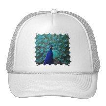 Gorra de béisbol bonito del pavo real