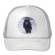 Gorra de béisbol corriente de Terranova