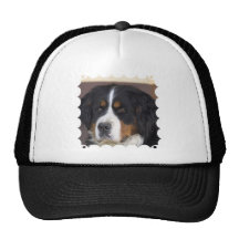 Gorra de béisbol de Berner Sennenhund