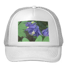 Gorra de béisbol de Columbine