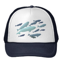 Gorra de béisbol de la ballena de la beluga y casq
