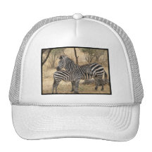 Gorra de béisbol de la cebra de la madre y del beb