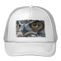 Gorra de béisbol del búho