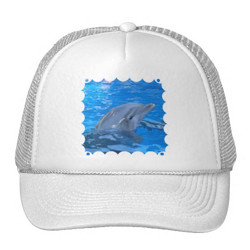 Gorra de béisbol del delfín de Bottlenose