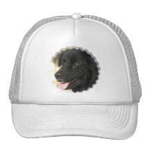 Gorra de béisbol del perrito de Terranova