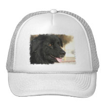 Gorra de béisbol del perro de Terranova