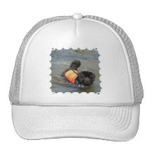 Gorra de béisbol del rescate del agua de Newfie