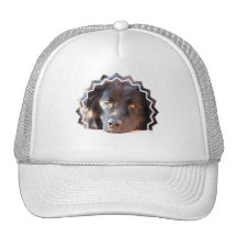 Gorra de béisbol negro del perro de Terranova