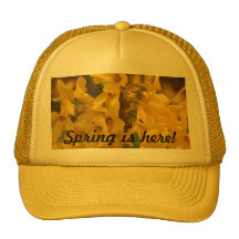 ¡Gorra de Fortsythia de la primavera!