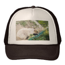 Gorra de Jimmy Hoffa
