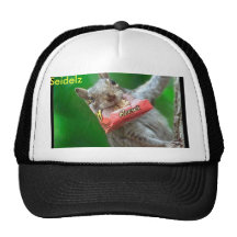Gorra de la ardilla