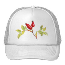 Gorra de la bella arte de la cadera color de rosa