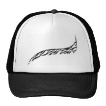 Gorra de la cebra