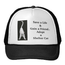 Gorra de la malla del rescate del gato