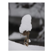 Gorra de la nieve impresiones fotográficas