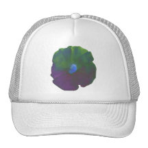 Gorra de la petunia del arco iris