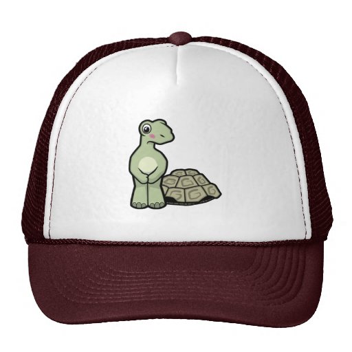 Gorra de la tortuga de SHELL-menos del dibujo anim