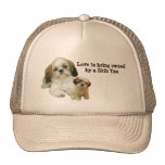 Gorra de los compinches de Shih Tzu