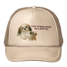Gorra de los compinches de Shih Tzu