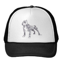 Gorra de Pitbull