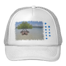 Gorra de Puerto Rico