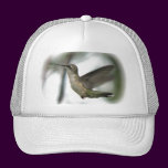 Gorra de rubíes de la alegría de la garganta gorras