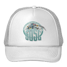 Gorra de SOSG