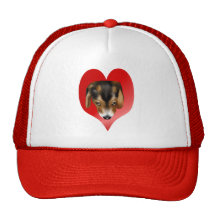 Gorra del amor adolescente