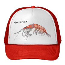 Gorra del camarón antártico
