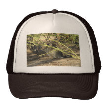 Gorra del conejo de conejo de rabo blanco