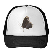 Gorra del ~ de la mariposa de capa de luto