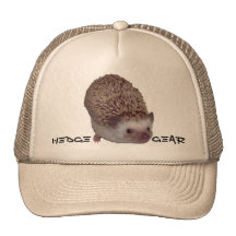 GORRA DEL ERIZO