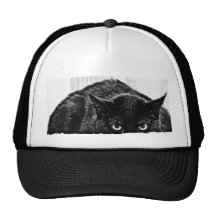 Gorra del gato de Scaredy